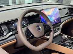Denza D9 2022 DM-i 970 AWD Flagship - ფოტო 17