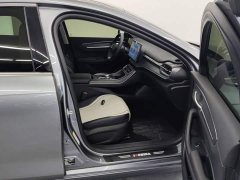 BYD Destroyer 05 Glory Edition DM-i 55KM Luxury - ფოტო 8