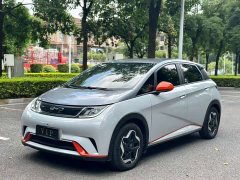 BYD Dolphin 405km Freedom Edition - ფოტო 1