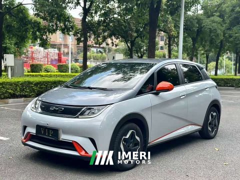 2021 BYD Dolphin 405km Freedom Edition - ავტომობილი ჩინეთიდან