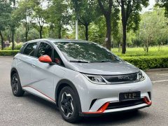 BYD Dolphin 405km Freedom Edition - ფოტო 3
