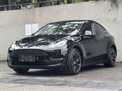 Tesla Model Y Long Range All-Wheel Drive - ფოტო 1