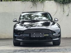 Tesla Model Y Long Range All-Wheel Drive - ფოტო 2
