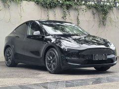 Tesla Model Y Long Range All-Wheel Drive - ფოტო 3
