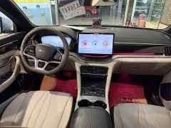 BYD Song Plus New Energy Champion Edition DM-i 110KM Flagship - ფოტო 10