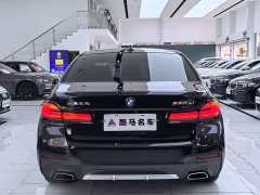 BMW 5 Series 530Li Premier M Sport Package - ფოტო 14