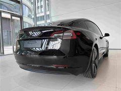 Tesla Model 3 Facelift Standard Range RWD Upgrade 3D1 - ფოტო 10