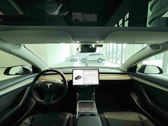 Tesla Model 3 Facelift Standard Range RWD Upgrade 3D1 - ფოტო 19