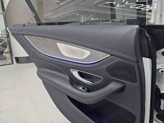 Mercedes-Benz CLS 300 Luxury - ფოტო 10