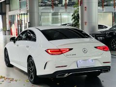Mercedes-Benz CLS 300 Luxury - ფოტო 12