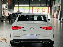 Mercedes-Benz CLS 300 Luxury - ფოტო 13