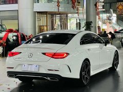 Mercedes-Benz CLS 300 Luxury - ფოტო 14