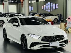 Mercedes-Benz CLS 300 Luxury - ფოტო 3