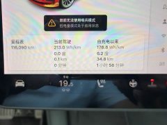 Tesla Model 3 Standard Range RWD Upgrade - ფოტო 10