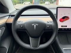 Tesla Model 3 Standard Range RWD Upgrade - ფოტო 9