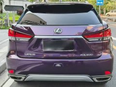 Lexus RX 2020 300 AWD Elegance National VI - ფოტო 8