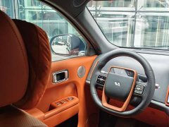 Li Auto L8 Max - ფოტო 15