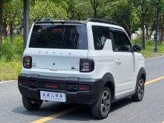 Geely Panda 200km Panda Knight - ფოტო 9