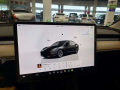 Tesla Model 3 2022 Rear-Wheel Drive - ფოტო 10