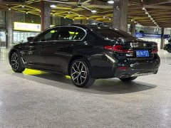 BMW 5 Series 530Li Luxury M Sport Package - ფოტო 8