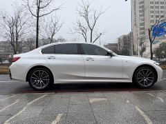 BMW 3 Series 320Li M Sport Package - ფოტო 8