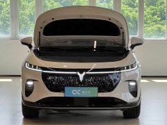 Voyah Lantu Zhiyin Four-Wheel Drive Qiankun Edition - ფოტო 15