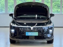 Voyah Lantu Zhiyin Four-Wheel Drive Qiankun Edition - ფოტო 14