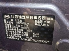 BYD Dolphin 550km Standard Range RWD Luxury - ფოტო 15
