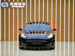 Tesla Model 3 Standard Range RWD Upgrade 3D6 - ფოტო 2