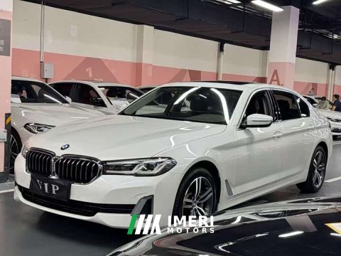2021 BMW 5 Series 530Li Premier Luxury Package - ავტომობილი ჩინეთიდან