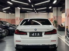 BMW 5 Series 530Li Premier Luxury Package - ფოტო 7