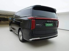 Great Wall WEY Shanshan New Energy 2025 Four-Wheel Drive Shanshan 8 - ფოტო 4