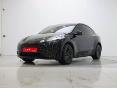 Tesla Model Y Long Range All-Wheel Drive - ფოტო 1