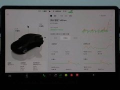 Tesla Model Y Long Range All-Wheel Drive - ფოტო 17