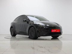 Tesla Model Y Long Range All-Wheel Drive - ფოტო 3