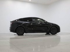 Tesla Model Y Long Range All-Wheel Drive - ფოტო 7