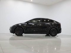 Tesla Model Y Long Range All-Wheel Drive - ფოტო 8