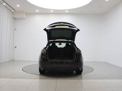 Tesla Model Y Long Range All-Wheel Drive - ფოტო 9