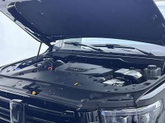 Tank 500 New Energy 2024 Hi4-T Black Warrior Edition - ფოტო 10