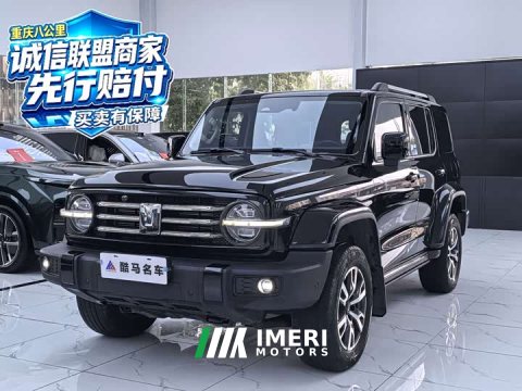 2023 Tank 300 2024 2.0T Explorer - ავტომობილი ჩინეთიდან