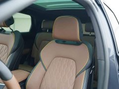 BYD Tang New Energy 2021 DM-i 112KM Premium Edition - ფოტო 14