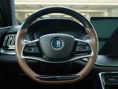 BYD Tang New Energy 2021 DM-i 112KM Premium Edition - ფოტო 18