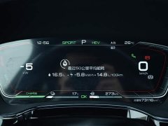 BYD Tang New Energy 2021 DM-i 112KM Premium Edition - ფოტო 8