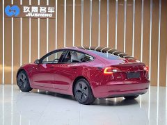 Tesla Model 3 Standard Range RWD Upgrade - ფოტო 12