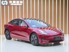 Tesla Model 3 Standard Range RWD Upgrade - ფოტო 3