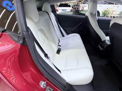 Tesla Model 3 Standard Range RWD Upgrade - ფოტო 8