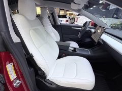 Tesla Model 3 Standard Range RWD Upgrade - ფოტო 9