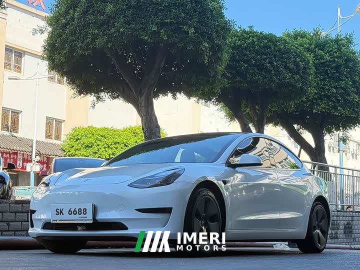 Tesla Model 3 2022 Rear-Wheel Drive - ავტომობილი ჩინეთიდან