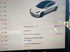 Tesla Model 3 2022 Rear-Wheel Drive - ფოტო 12