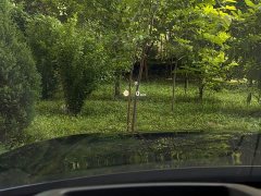 Land Rover Range Rover 3.0 L6 400PS Genesis Extended Edition - ფოტო 13